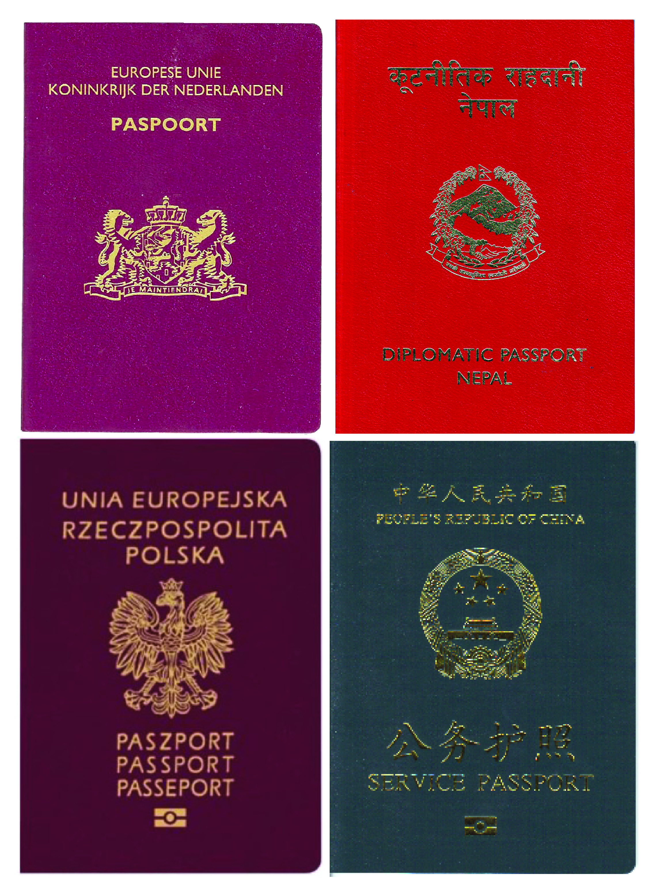 Passports of the kind a defendant may be required to surrender as a bail condition, preventing them from leaving the jurisdiction to avoid trial.