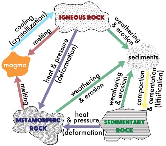 The rock cycle illustrates the continuous creation, destruction, and transformation of rock between igneous, sedimentary, and metamorphic forms over geologic time.