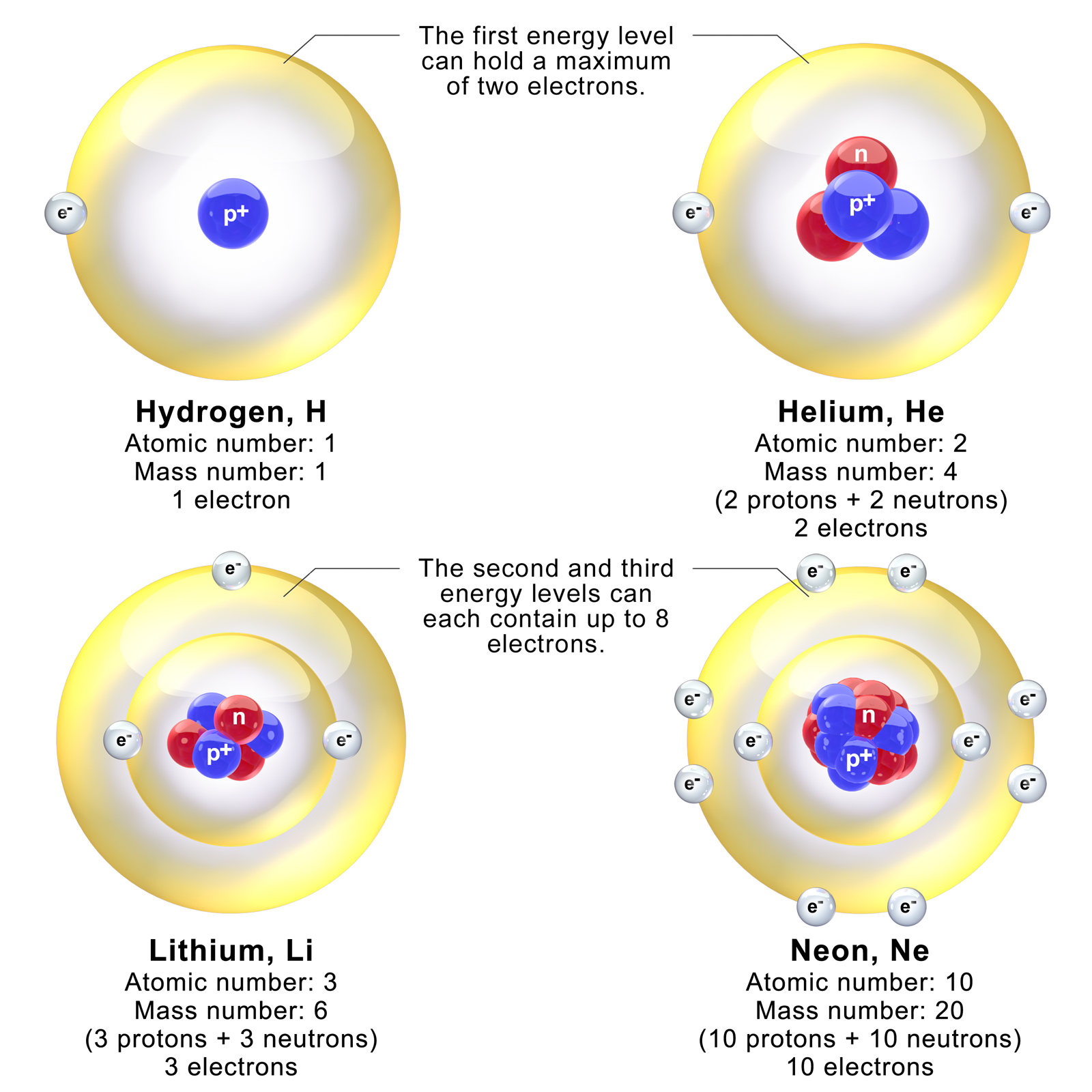 Electrons are arranged in specific principal energy levels. As seen in neon (far right), achieving a full outer shell of eight valence electrons satisfies the octet rule, creating a highly stable atom.