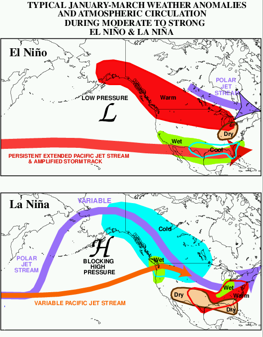 The El Niño-Southern Oscillation (ENSO) periodically alters Pacific Ocean surface temperatures, which in turn drastically shifts atmospheric jet streams, winter storm paths, and precipitation patterns across North America.