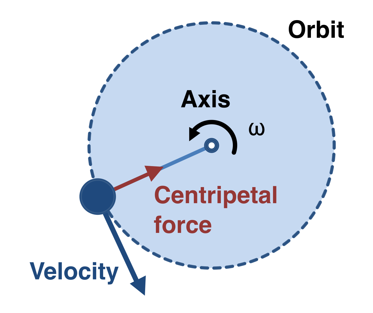 Centripetal force acts perpendicularly to the velocity vector, pulling continuously toward the center of the circle to maintain the object's curved path.