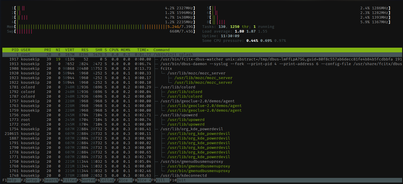 A dynamic process viewer (similar to the 'top' command) displaying a real-time table of system processes alongside precise CPU and memory utilization.