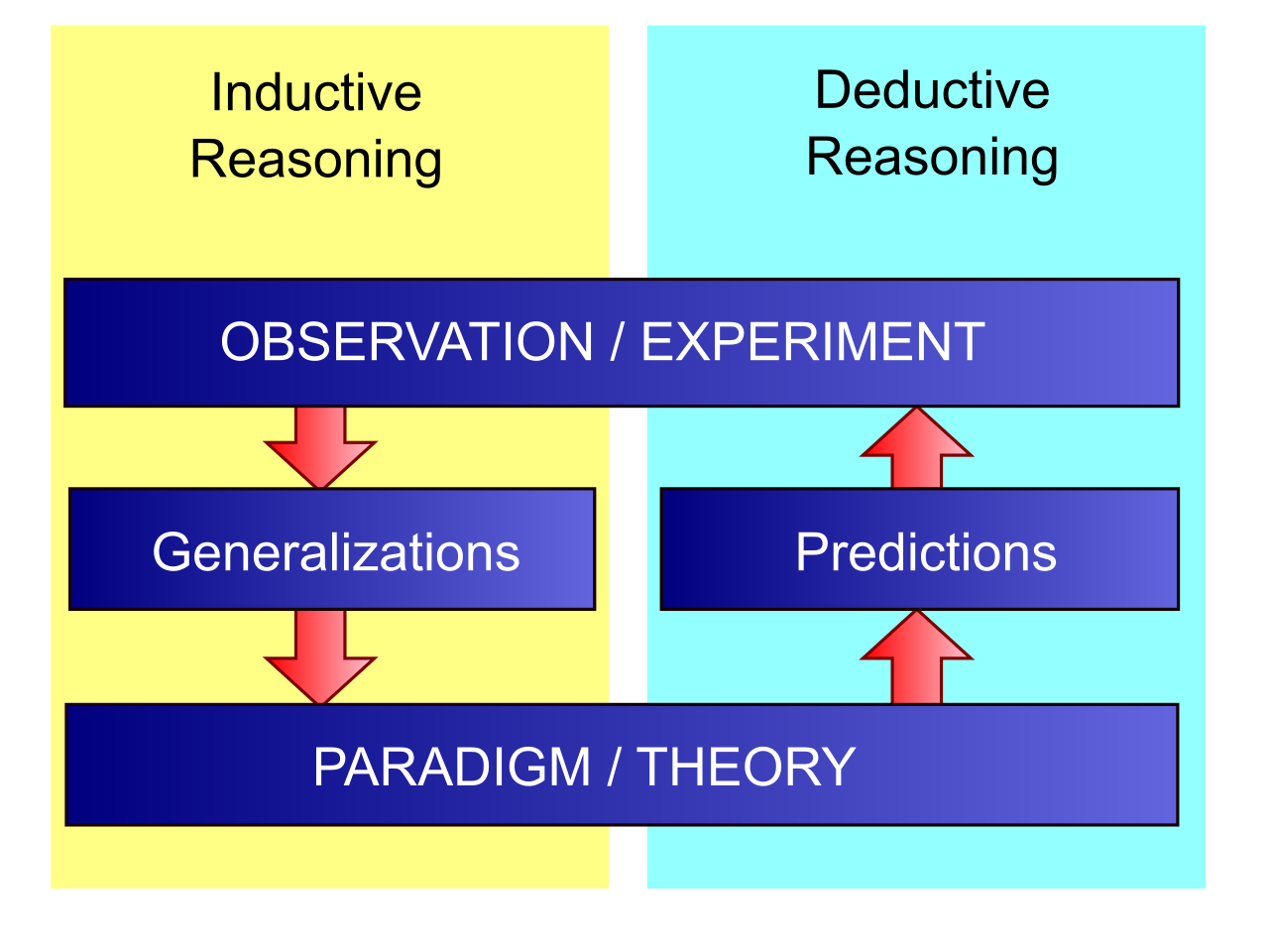 Deductive reasoning flows from a general premise down to a specific conclusion, whereas inductive reasoning builds from specific observations up to a generalized conclusion.