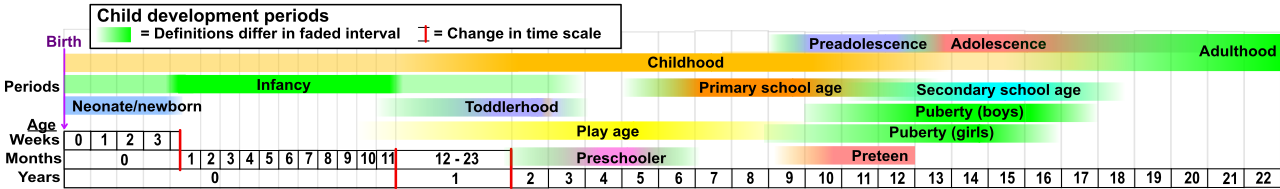 The psychological transition of adolescence mirrors the overarching narrative arc of American literature, shifting from strict dependency to complex autonomy.