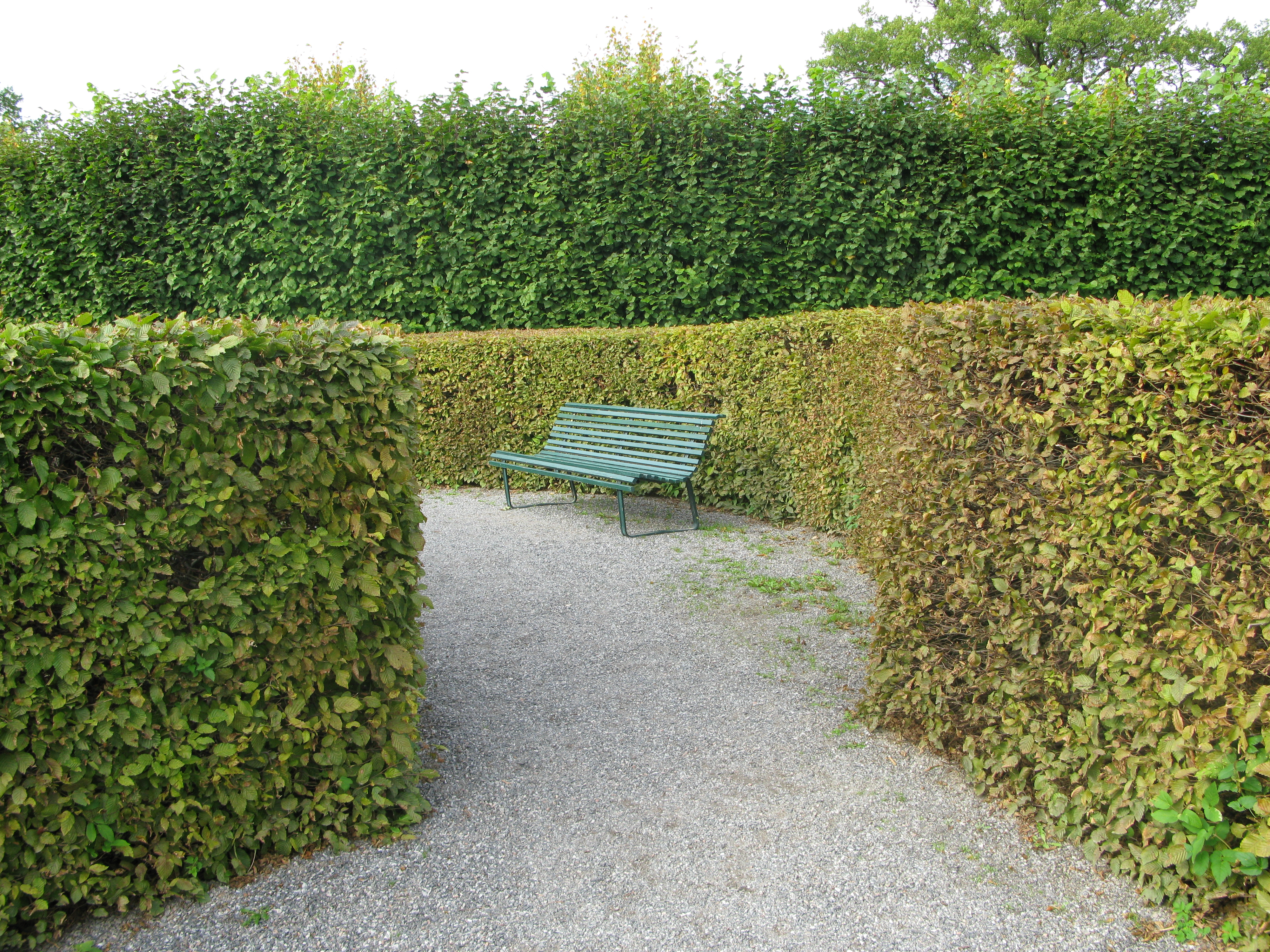 A wooden park bench may sit outdoors, but because it was manufactured by humans to serve a repeated purpose, it is classified as a capital resource rather than a natural one.