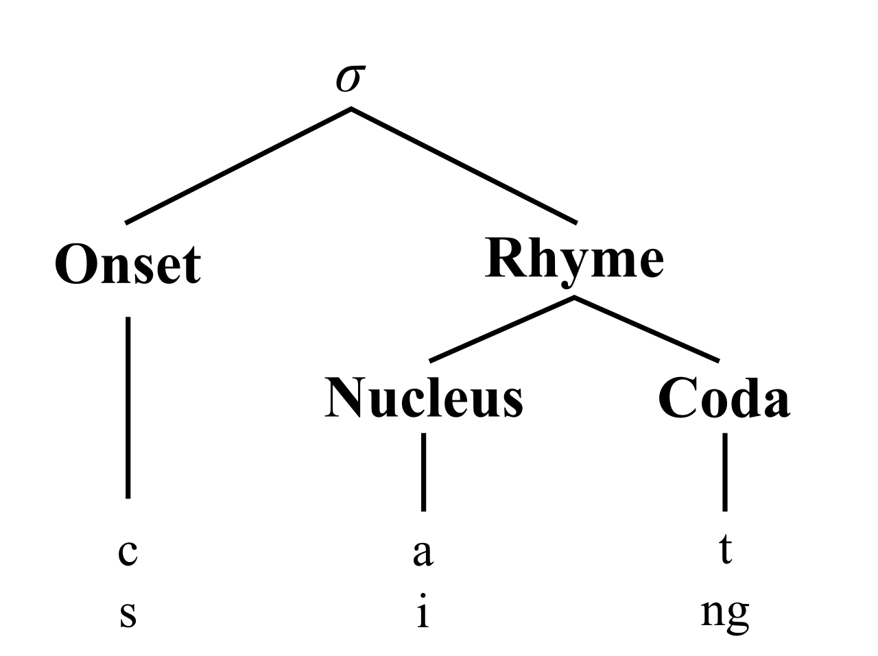 Quantitative readability algorithms evaluate structural elements of language, such as counting syllables within words, to mathematically estimate the required decoding stamina.
