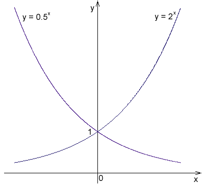 Exponential functions grow multiplicatively, resulting in graphs that sweep dramatically upward or downward while being bounded by a horizontal asymptote.