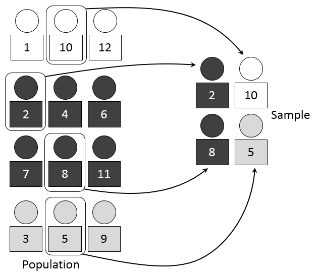 A visual representation of stratified sampling, highlighting how a population is first divided into homogeneous subgroups (strata) before a smaller random sample is drawn from each distinct group.