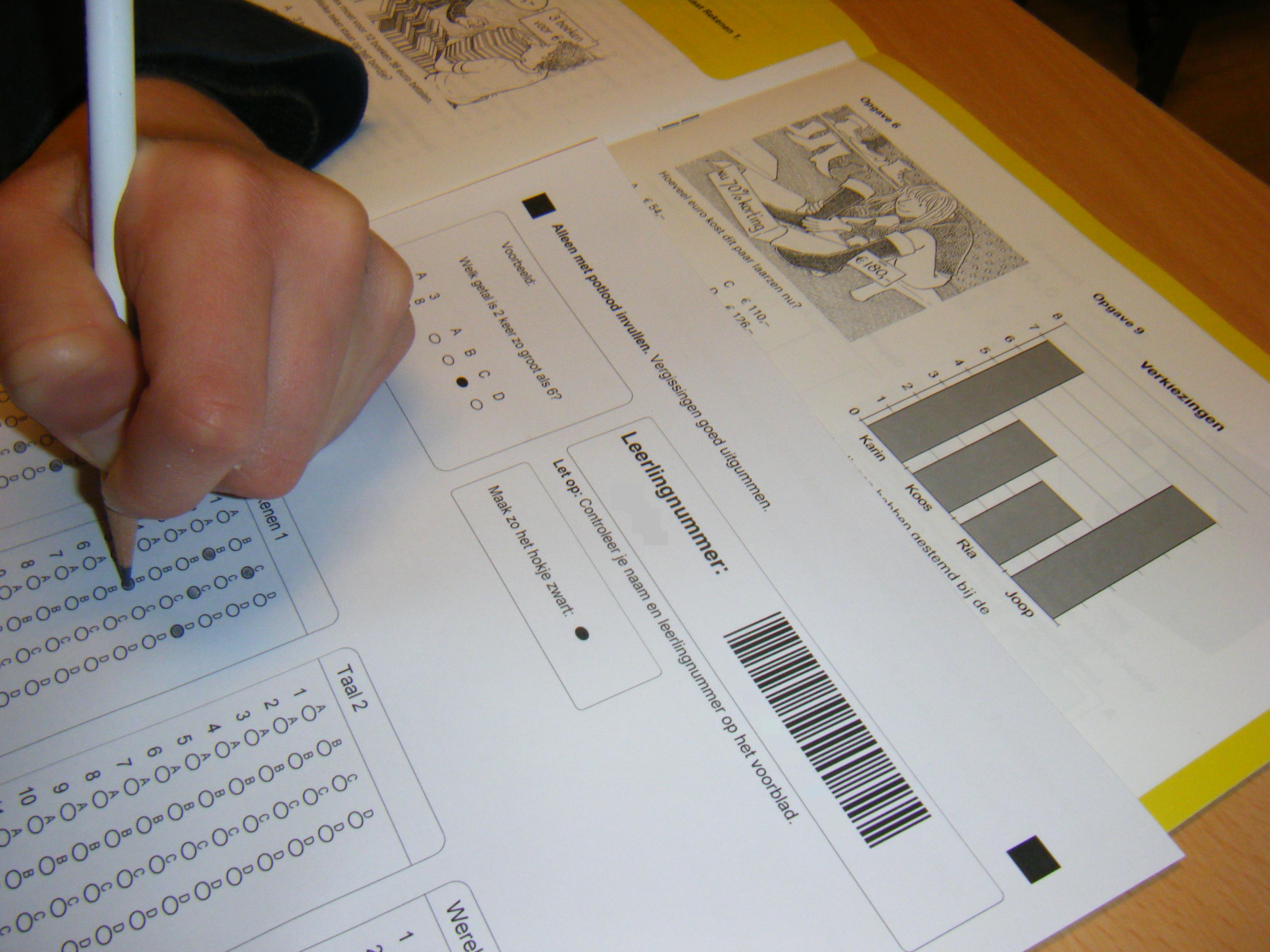 A standardized assessment form illustrating the raw "pencil marks" that educators must translate into a cohesive psychological profile.