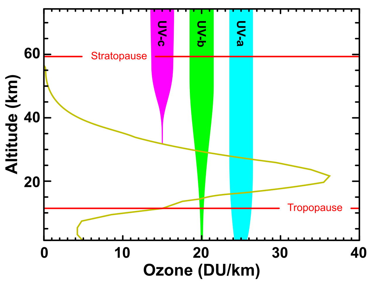 The stratospheric ozone layer functions as a biological shield, absorbing the majority of highly energetic, DNA-damaging ultraviolet-B (UV-B) and ultraviolet-C (UV-C) radiation.