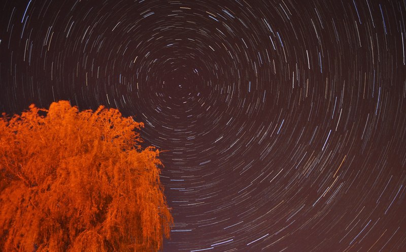 A long-exposure photograph showing star trails rotating around Polaris, which appears stationary because it aligns directly with Earth's northern axis of rotation.