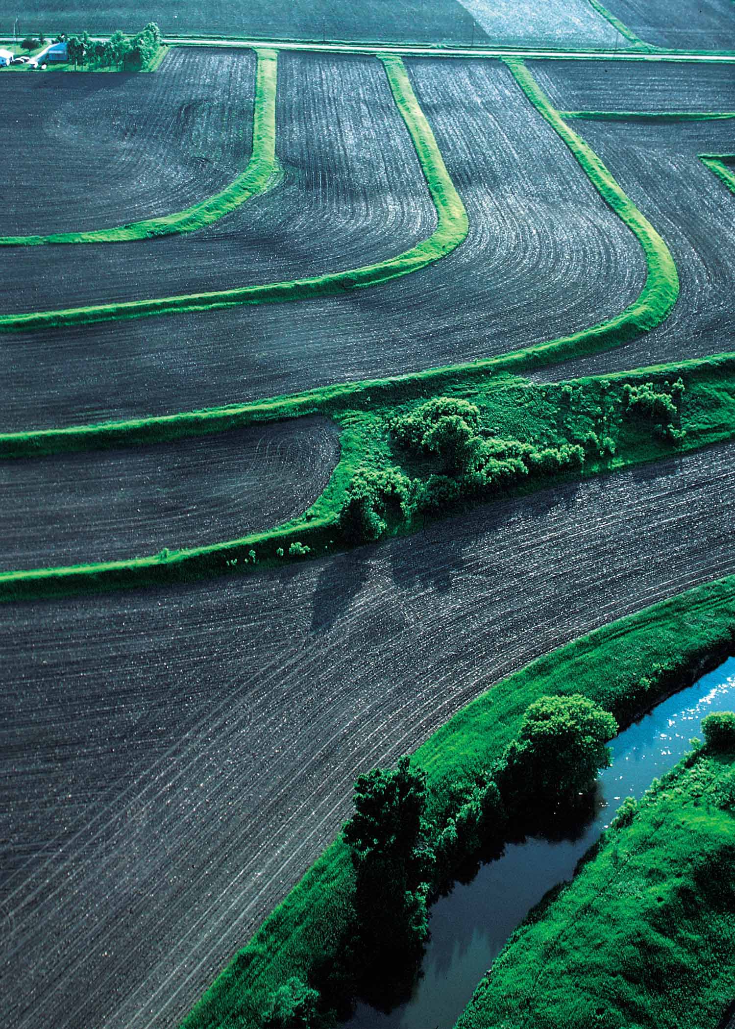 Terracing involves cutting flat steps into sloped hillsides, which slows water runoff and dramatically reduces agricultural soil erosion.