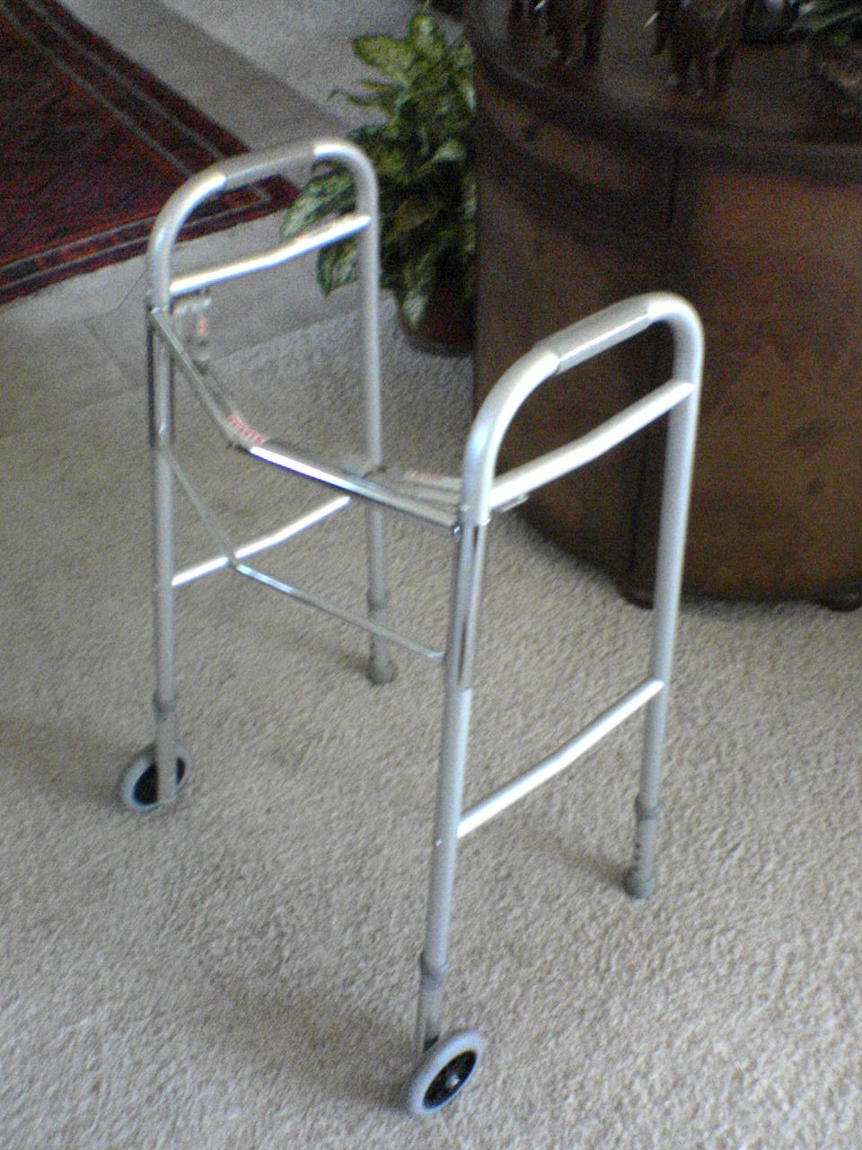 A front-wheeled walker. Providing education on the safe and proper use of mobility assistive devices is a cornerstone of fall prevention strategies for older adults navigating sarcopenia and joint deterioration.