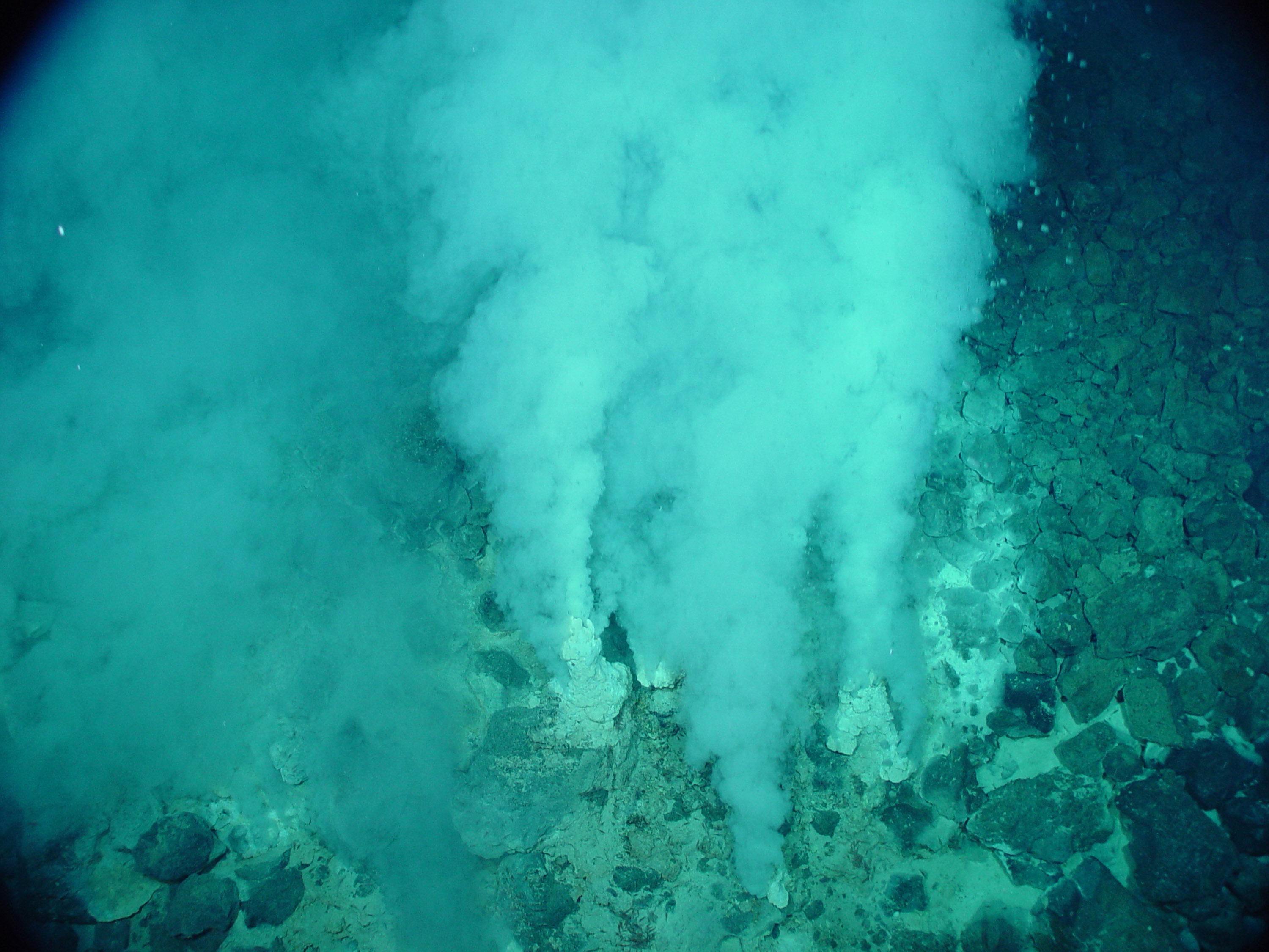 White smoker hydrothermal vents provide a plausible deep-sea origin for life, offering sustained chemical and thermal gradients far from the chaotic conditions of the early Earth's surface.