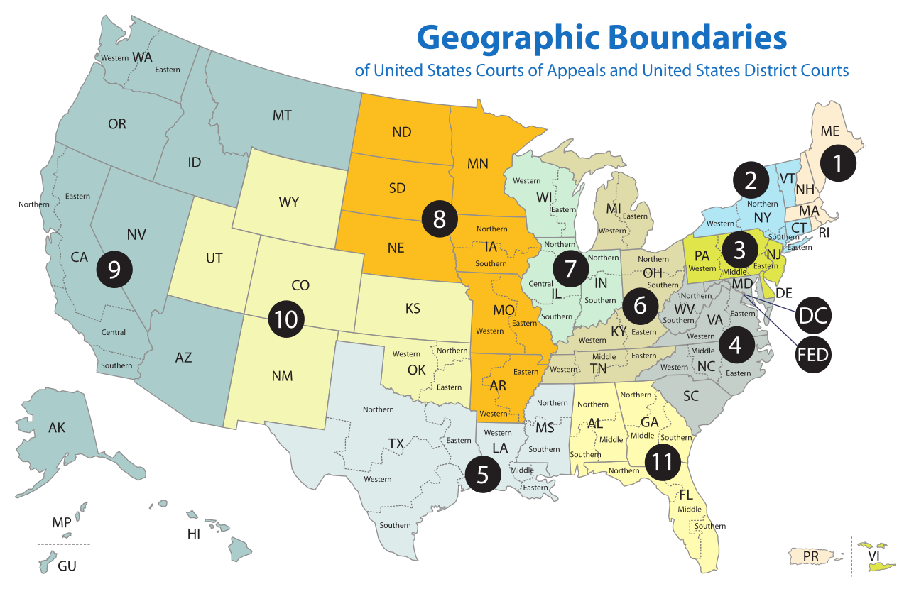 A geographic map of the U.S. federal judiciary's appellate circuit courts. Cases appealed from the 94 district courts move up to these regional circuit courts for review.