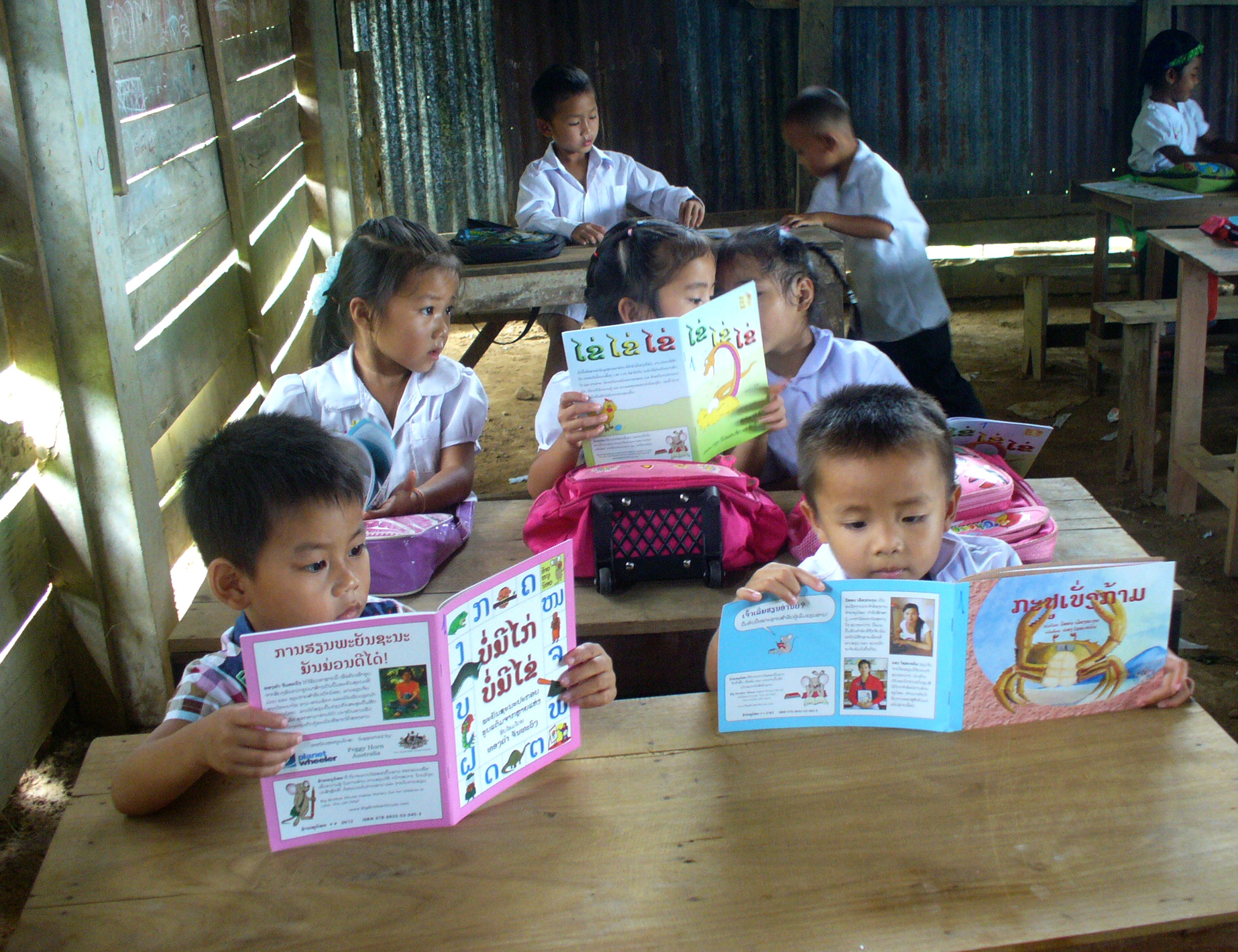 Sustained silent reading programs deliberately develop cognitive stamina by providing students with structured, uninterrupted time to focus on independent reading.