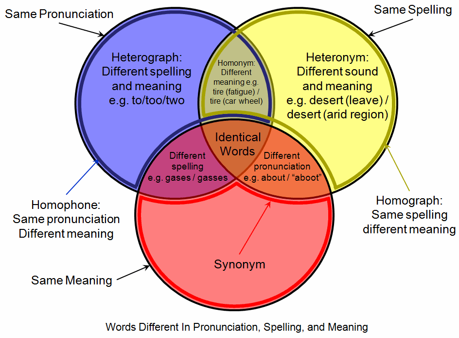 A Venn diagram illustrating the relationships between homophones, homographs, and homonyms. Because spell checkers only verify a word's existence, they frequently fail to flag misused homophones.