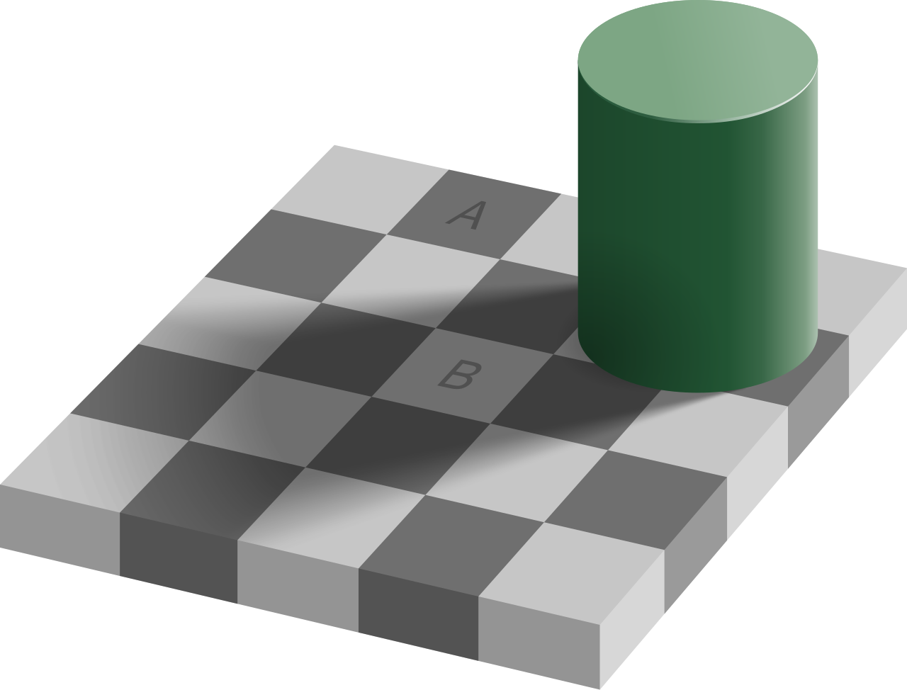 In a visual illusion, the brain misinterprets real sensory input from the physical environment. Hallucinations, by contrast, are generated entirely without an external stimulus.