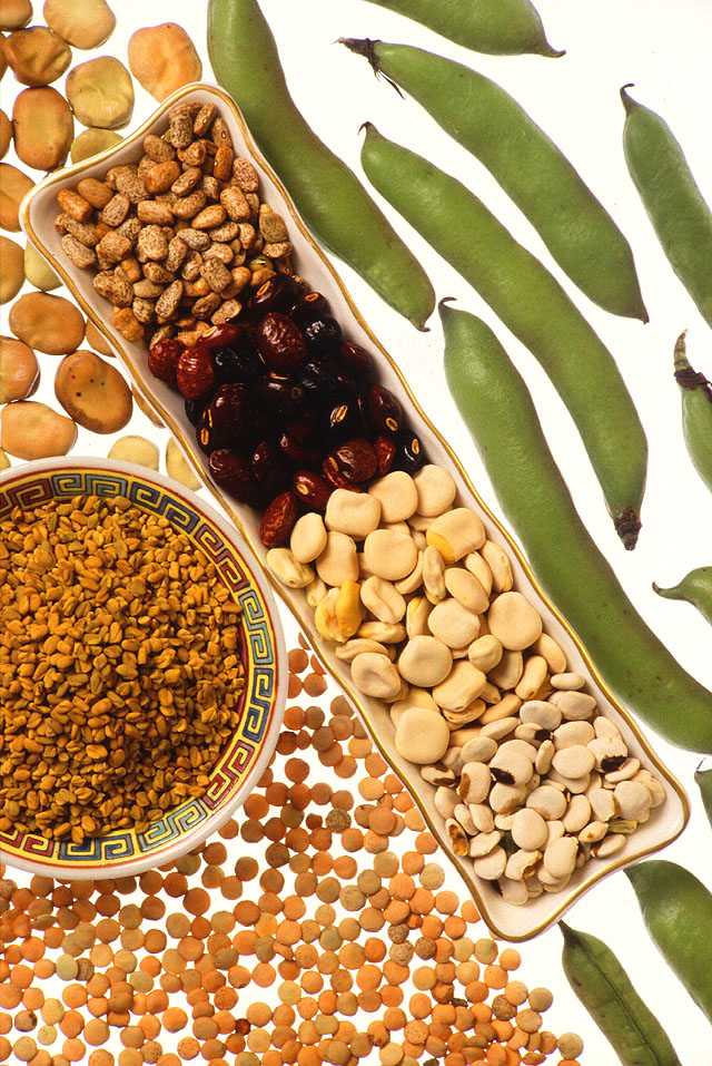 An assortment of legumes. Writers frequently use known examples (like lentils or black beans) as context clues to help readers deduce the meaning of an unfamiliar category word.