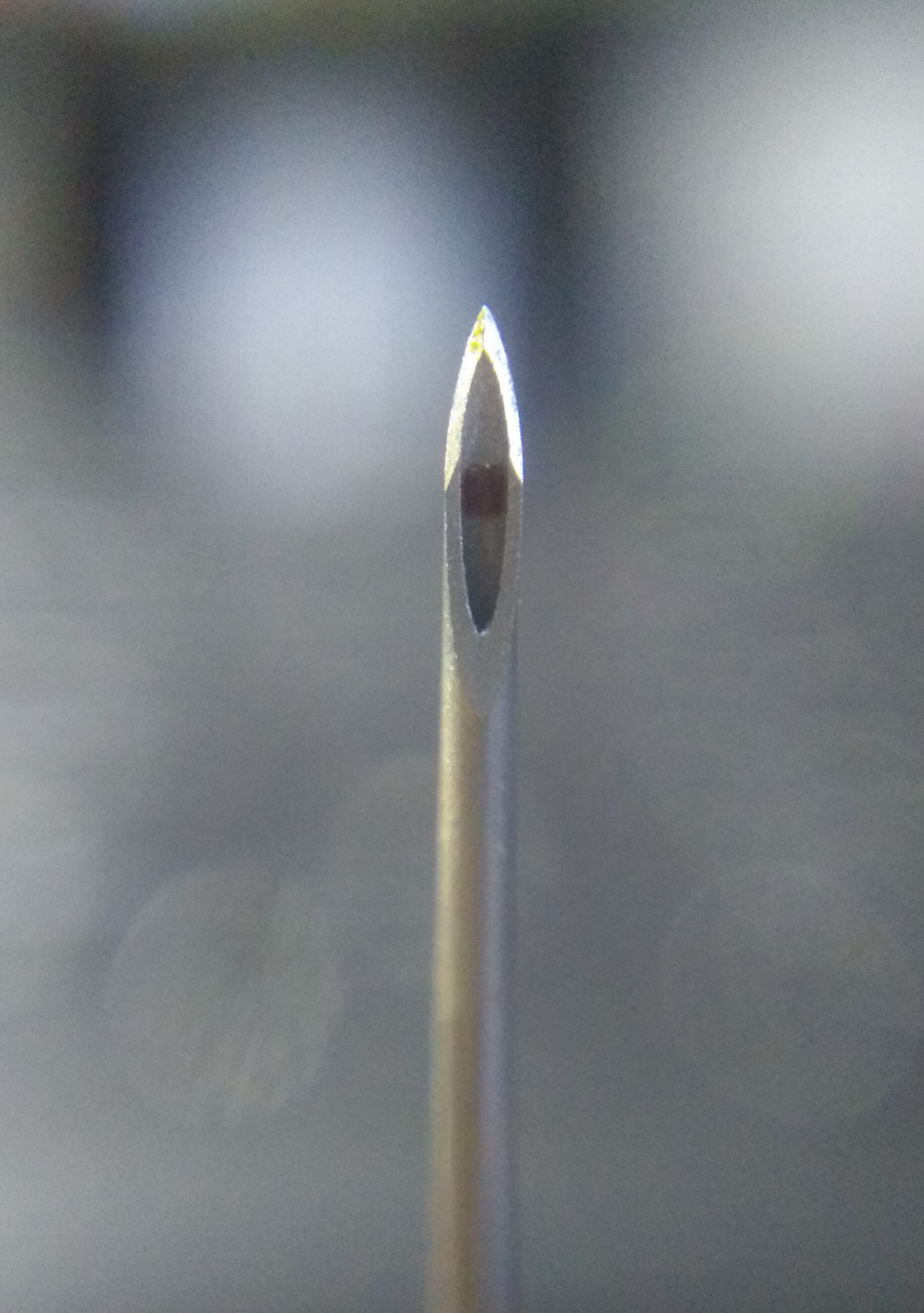 A hypodermic needle tip under magnification. Their hollow, slanted design makes them incredibly sharp and capable of deep puncture wounds, necessitating immediate, one-handed disposal into a secure container.