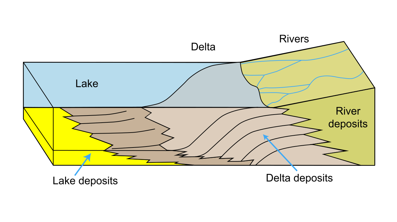 As flowing water slows down, it loses its carrying capacity and deposits sediments to form a delta.