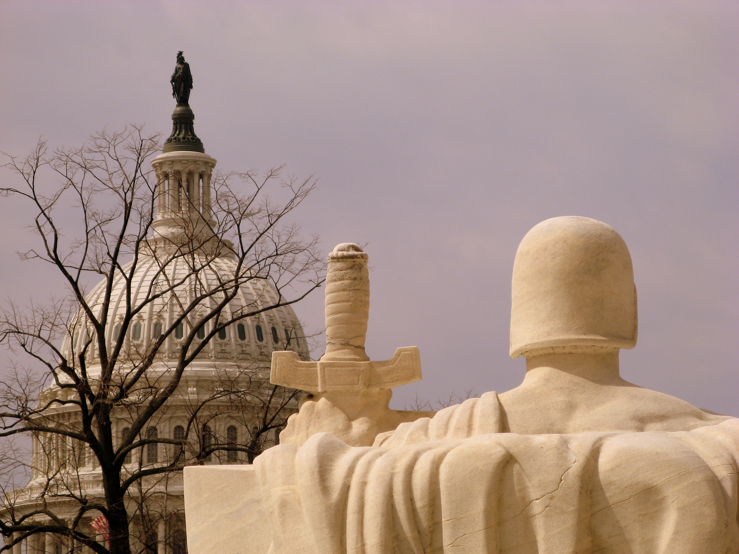 Because the underlying value of a DPP is intimately tied to specific tax code provisions, the investment carries significant legislative risk if Congress alters tax laws.