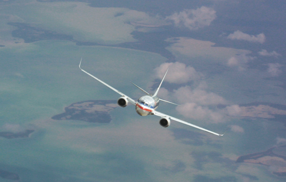 A passenger jet at cruising altitude — exactly the kind of ordinary overflight that Bernstein v Skyviews held falls outside a landowner's airspace rights.