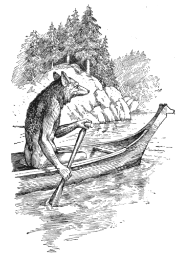 In many traditional Indigenous myths, the Coyote functions as a classic trickster archetype, demonstrating how intellect and cunning can be used to outwit physically stronger opponents.