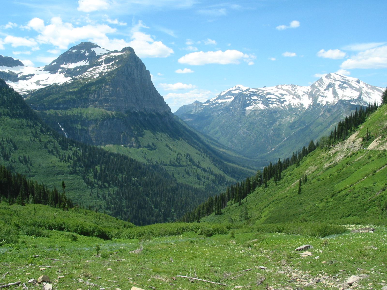 Unlike rivers that cut narrow 'V' shapes, massive slow-moving glaciers act like coarse sandpaper, carving wide, 'U'-shaped valleys into the landscape as they advance.