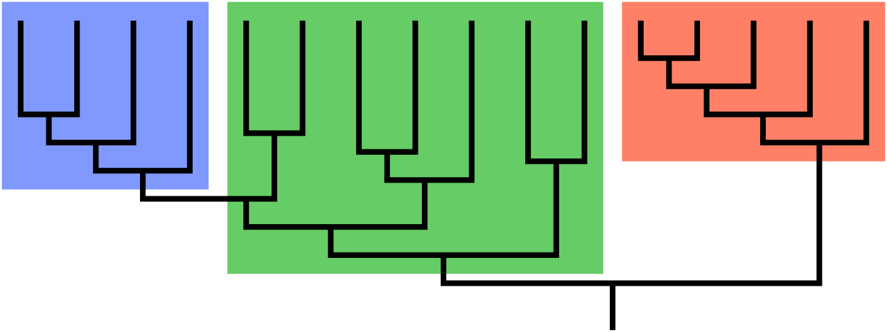 A cladogram illustrating a monophyletic group (the red and blue clades together) and a paraphyletic group (the green group, which excludes the blue descendant branch).
