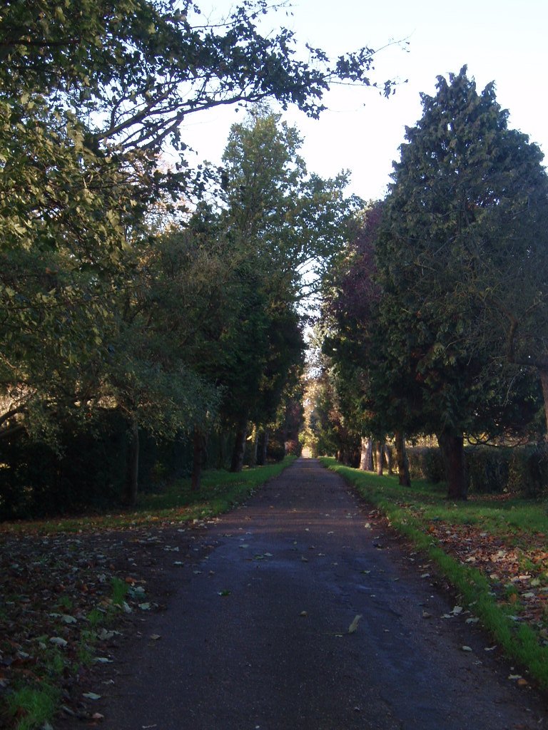 A new driveway cut into a road frontage — engineering operations like forming access to a highway fall within section 55's definition of development, separate from any Highways Act consent.
