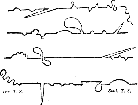 Laurence Sterne's illustration of non-linear plot lines from Tristram Shandy, visualizing how narrative structure can deliberately disrupt chronological order.