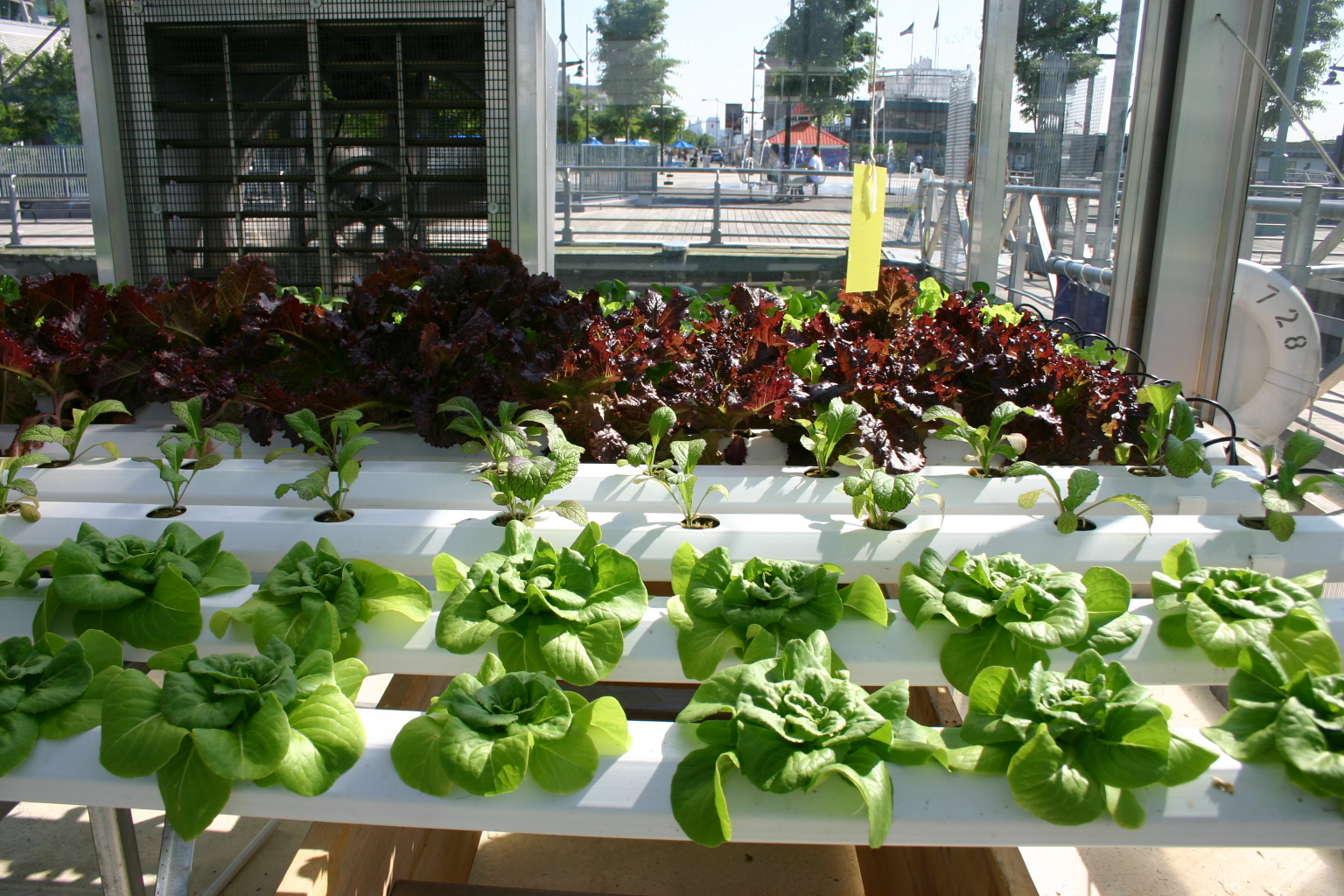 A nutrient film technique hydroponic system in operation. Engineering criteria for such systems dictate precise, measurable targets, such as the volume of oxygenated water delivered to plant roots per hour.