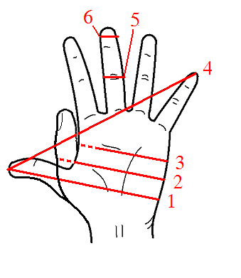 Before universal standards were adopted, measurements often relied on inconsistent anatomical benchmarks, such as the span of an individual's hand.