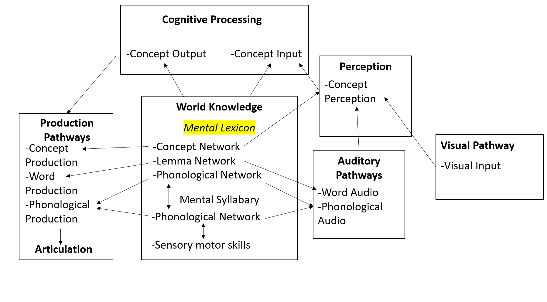 A structural model of the mental lexicon demonstrating how vocabulary words are stored and connected in the brain through complex semantic networks.