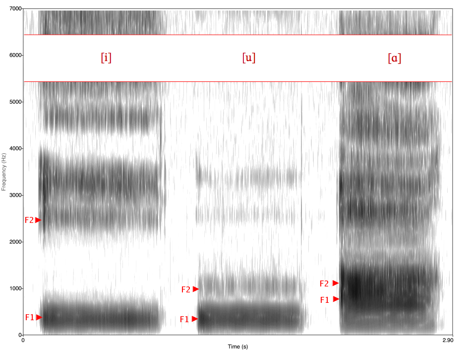 A spectrogram analyzing human vowel sounds. Poets manipulate these acoustic frequencies—pairing high, sharp vowels or low, resonant ones—to physically alter a poem's atmospheric mood.