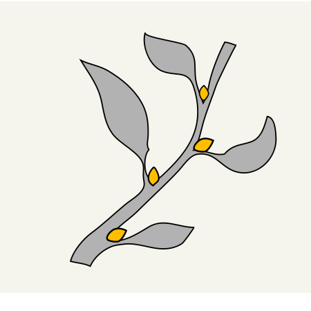 The modular anatomy of a stem, highlighting the nodes where leaves attach, the internodes between them, and the axillary buds that hold the potential to develop into new lateral shoots.