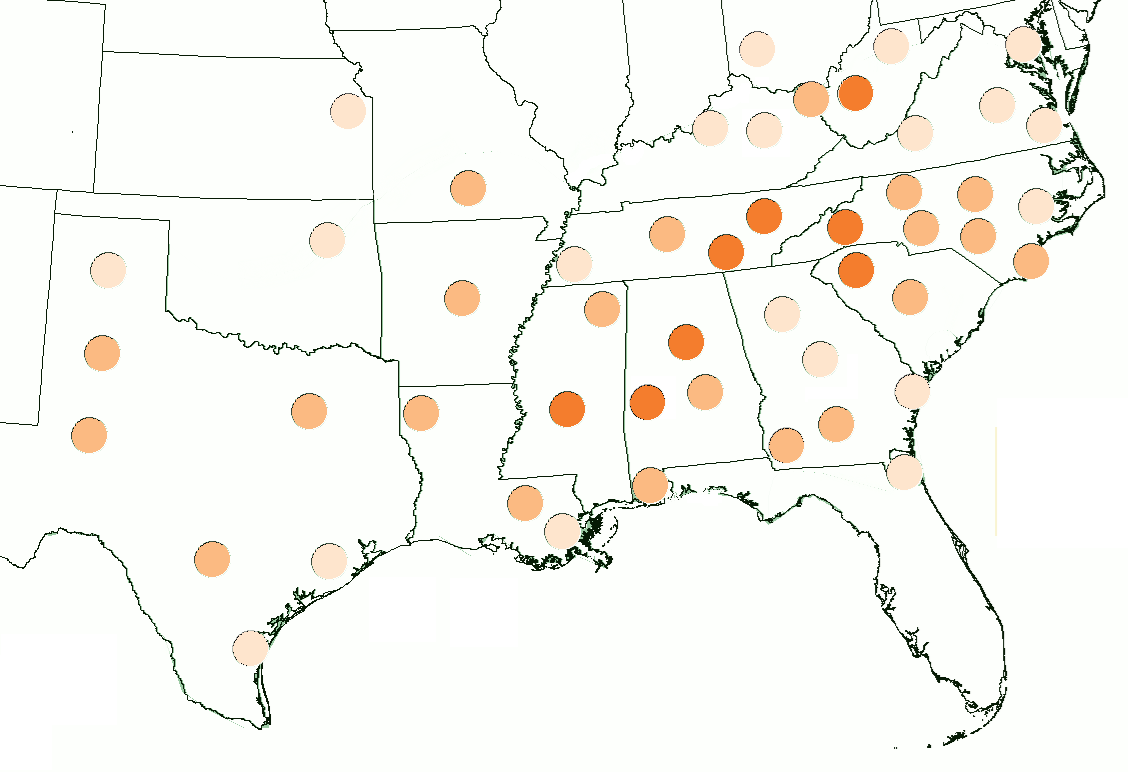 Linguistic mapping visualizes how regional dialects, such as Southern American English, are geographically constrained by the physical borders and historical settlements of a given area.