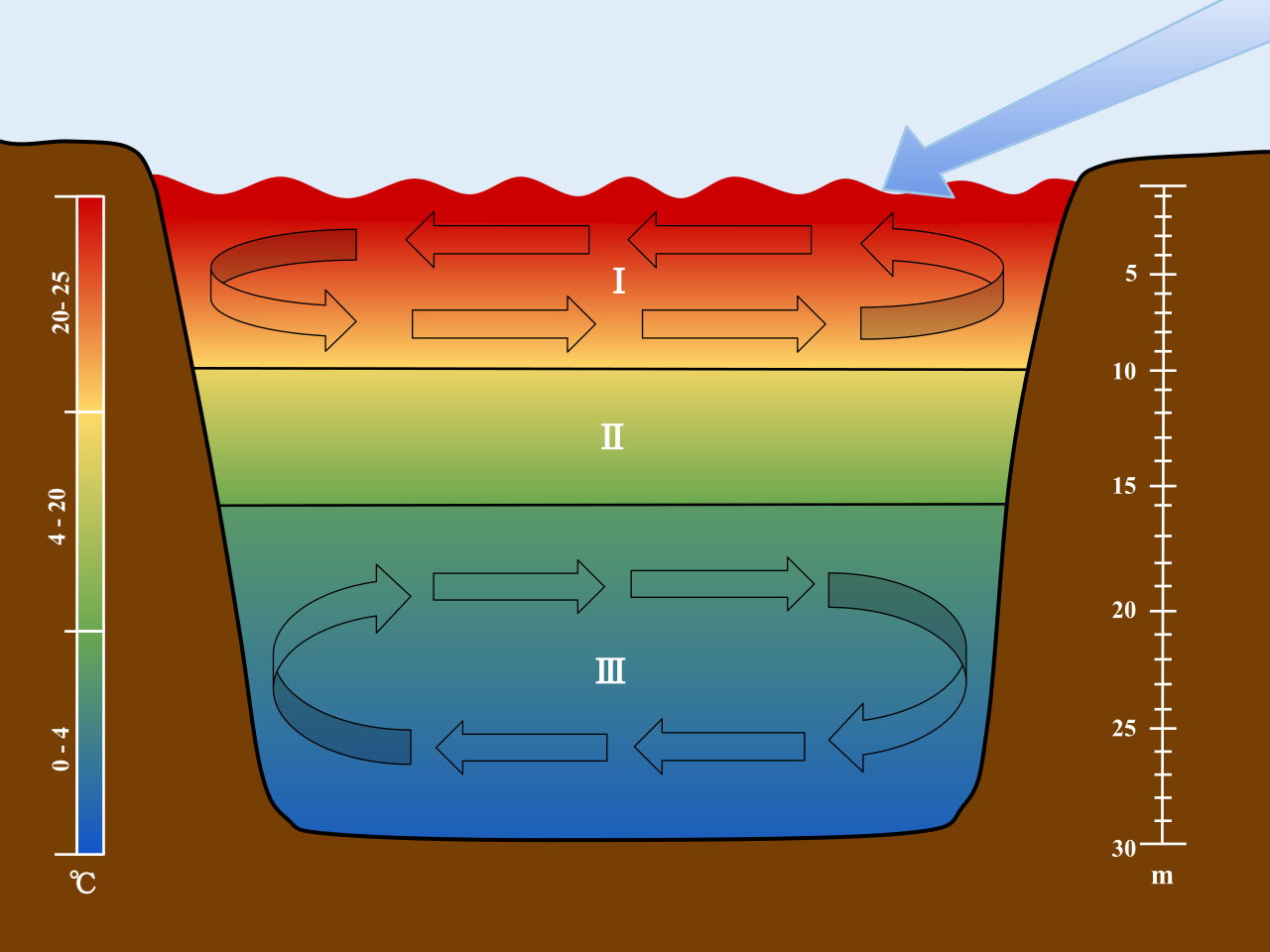 Thermal stratification in lakes isolates nutrients and oxygen into distinct layers based on temperature and water density.