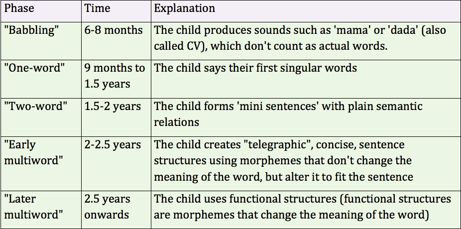 The predictable developmental phases of language acquisition can often mimic the presentation of neurological delays or processing disorders to untrained observers.