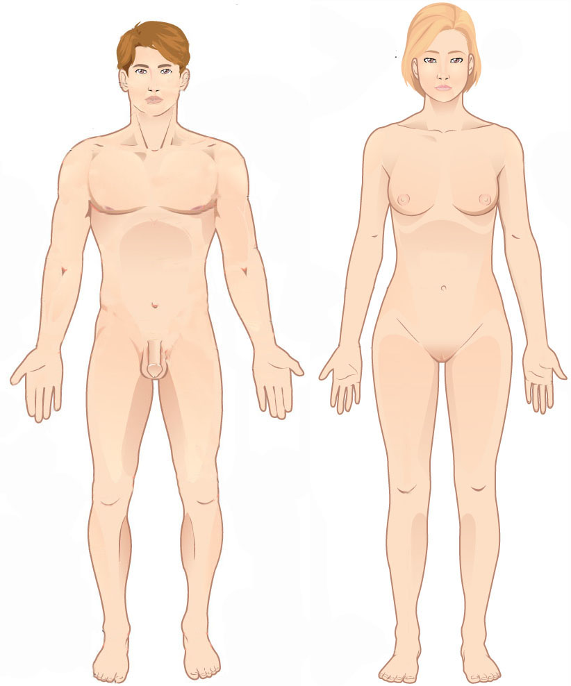 Standard anatomical position — upright, facing forward, palms out. Every directional term on the TEAS assumes this pose, so "left" and "right" never depend on how a patient is lying.