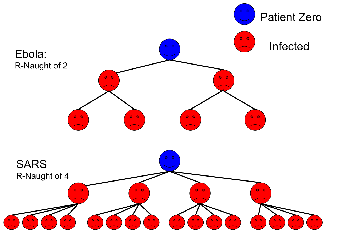 The basic reproduction number (R0) represents the average number of secondary infections generated by a single infected person. For example, an R0 of 2 leads to exponential transmission.