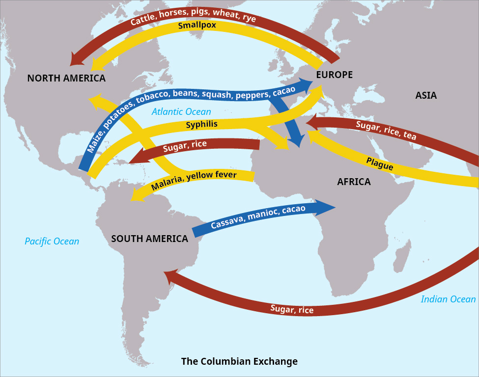 Diagram illustrating the Columbian Exchange: the unprecedented two-way global transfer of crops, livestock, and diseases between the Old World and the Americas following 1492.