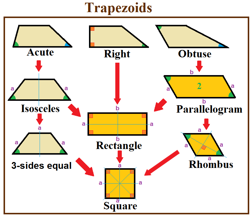 Under the inclusive mathematical definition, a trapezoid only requires at least one pair of parallel sides, meaning parallelograms and squares are technically classified as specialized trapezoids.