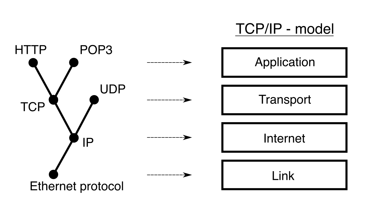 The TCP/IP model layers network protocols by function, determining how application data is packaged for transport and routed across the internet.