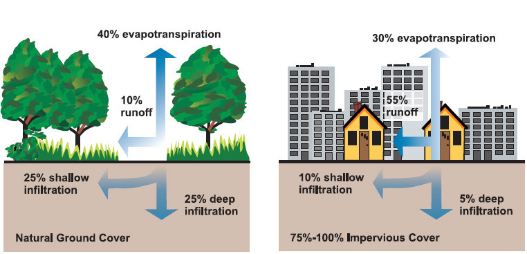 Diagram comparing natural ground cover to impervious urban surfaces. Concrete and asphalt prevent water percolation, dramatically increasing stormwater runoff and flash flood risks.