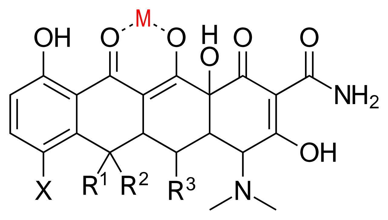 Structural depiction of a tetracycline molecule chelating a metal ion. This chemical trapping mechanism explains why antacids and dairy products severely decrease gastrointestinal absorption of these antibiotics.