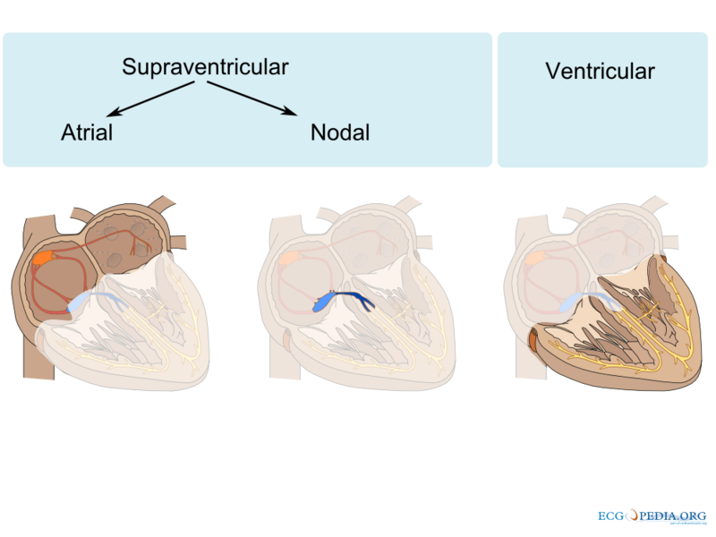Just as cardiologists rely on empirically tested treatments for complex arrhythmias, special educators must use rigorously researched interventions for cognitive and behavioral deficits.