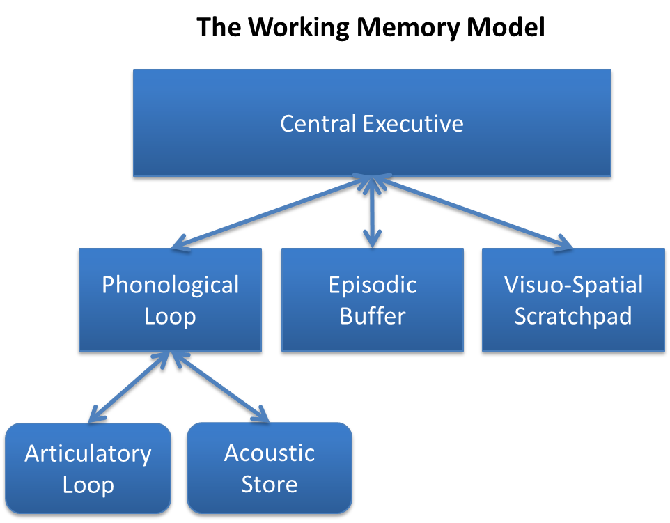 Baddeley and Hitch's model of working memory. Poor physical classroom design forces a student's central executive to allocate limited cognitive resources toward navigating space rather than processing academic content.