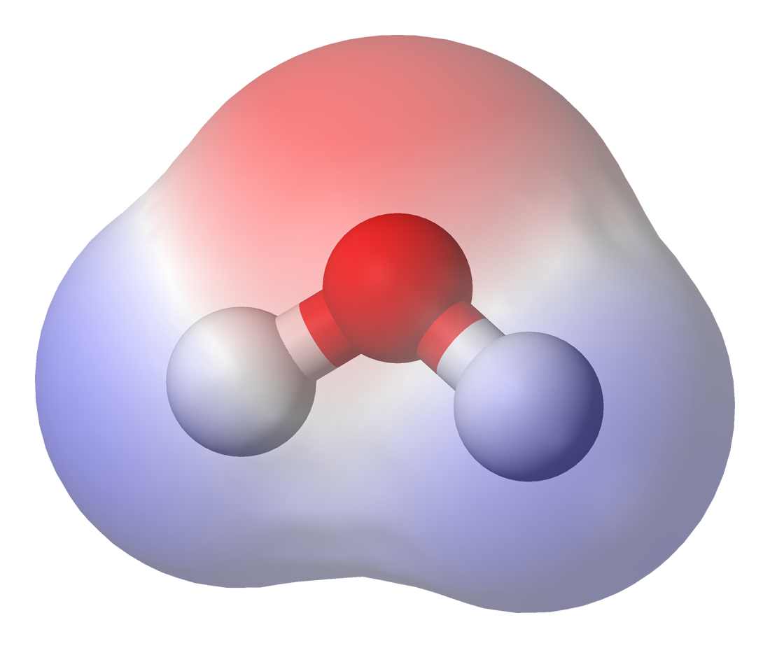 An electrostatic potential map of a water molecule. Oxygen's high electronegativity draws shared electrons closer, creating a partial negative charge (red) near the oxygen atom and partial positive charges (blue) near the hydrogen atoms.
